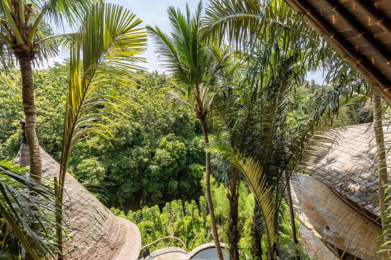 Eclipse House 4Bds Eco Bamboo House Pool Riverview Bringkit Εξωτερικό φωτογραφία